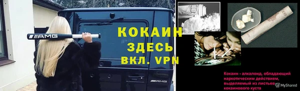 герыч Пересвет