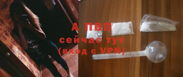 герыч Пересвет