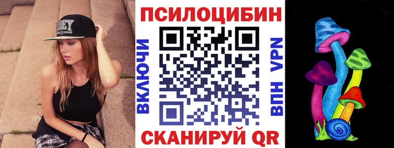 Псилоцибиновые грибы Psilocybine cubensis  Тюкалинск 